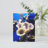 gevonden nemo briefkaart (Staand voorkant)