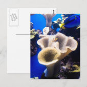 gevonden nemo briefkaart (Voorkant / Achterkant)