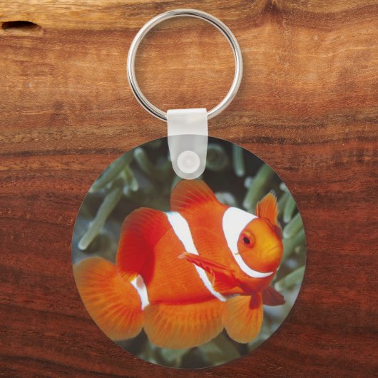 gevonden nemo sleutelhanger (Voorkant)