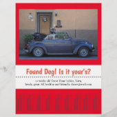 Gevonden tandbaars uit flyer (Voorkant)