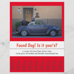 Gevonden tandbaars uit flyer