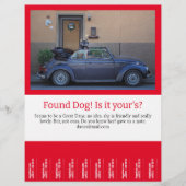 Gevonden tandbaars uit flyer (Voorkant)