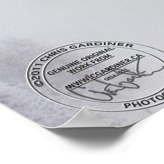 Gevoorzitter Art Print (Hoek)