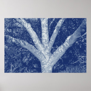 Gevorkte Takken - Cyanotype Effect Poster