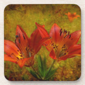 Gevormd Prairie-pictogram Bier Onderzetter (Voorkant)