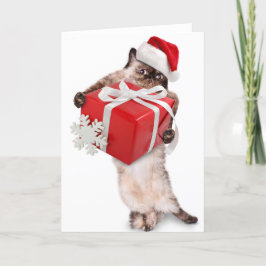 Gevouwen Christmas Kaart SANTA CAT MET CADEAU
