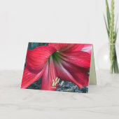 Gevouwen dank bedankkaart (Achterkant)