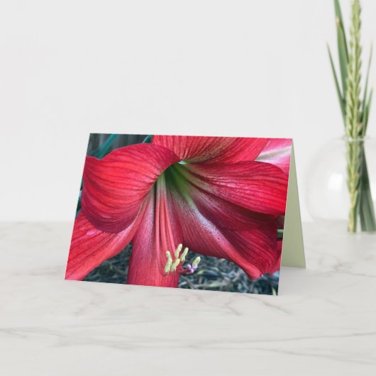 Gevouwen dank bedankkaart (Voorkant)