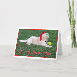 Gevouwen de Kerstkaart van het Puppy van het Feestdagen Kaart