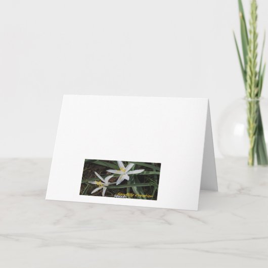 Gevouwen denken aan je kaart (Achterkant)