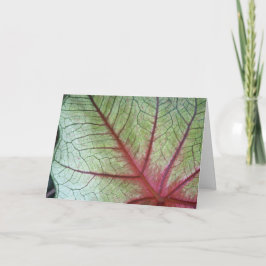 - Gevouwen Groeten Kaart met Caladium Leave