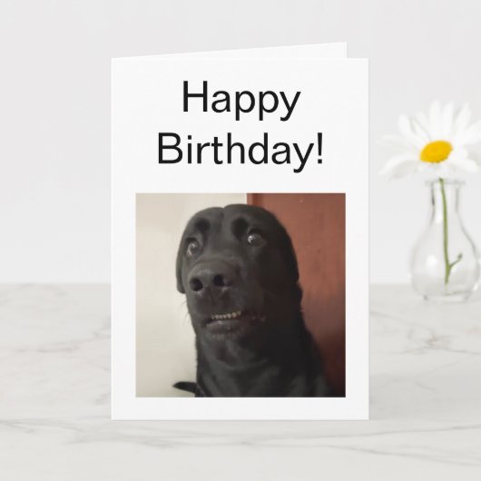 Gevouwen Kaart Bang hond meme (Kleine Plant)