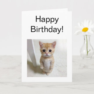 Gevouwen Kaart El Gato Cat Meme