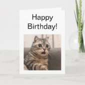 Gevouwen Kaart geschokt Cat meme (Voorkant)