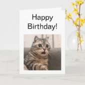 Gevouwen Kaart geschokt Cat meme (Gele Bloem)