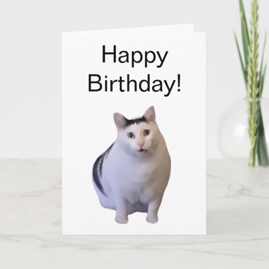 Gevouwen Kaart Huh Cat Meme (Voorkant)
