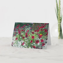 Gevouwen Kaart met Alpine Petunia's