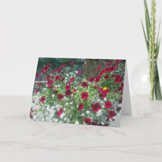 Gevouwen Kaart met Alpine Petunia's (Voorkant)