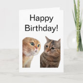 Gevouwen Kaart Pratende Katten Meme (Voorkant)