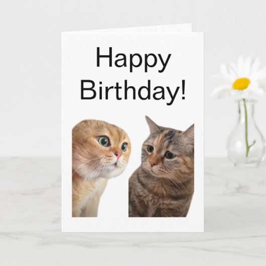 Gevouwen Kaart Pratende Katten Meme (Kleine Plant)