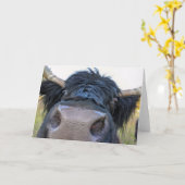 Gevouwen Kaart van 7 x 5 inch | bananenschil-Koe (Gele Bloem)