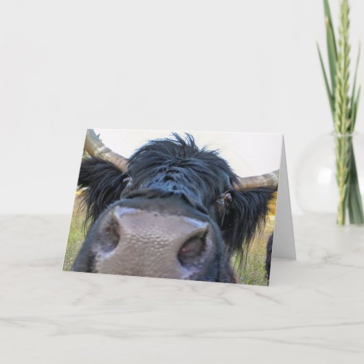 Gevouwen Kaart van 7 x 5 inch | bananenschil-Koe (Voorkant)