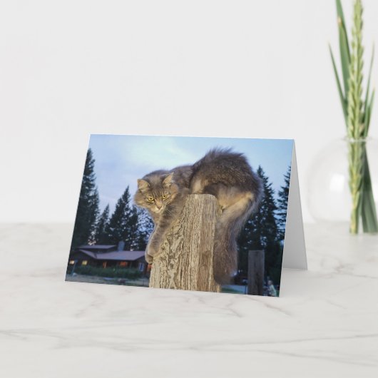 Gevouwen Kaart van 7 x 5 inch | Cathletic Cat (Voorkant)