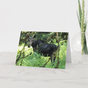 Gevouwen Kaart van 7 x 5 inch eland Lunch