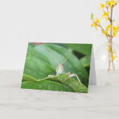 Gevouwen Kaart van 7 x 5 inch | Grasshopper (Gele Bloem)