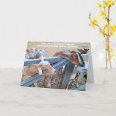 Gevouwen Kaart van 7 x 5 inch | Hey-Hay! Waar is d (Gele Bloem)