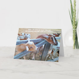 Gevouwen Kaart van 7 x 5 inch | Hey-Hay! Waar is d