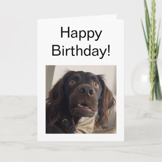 Gevouwen Kaart Verwarde Dog Meme (Voorkant)