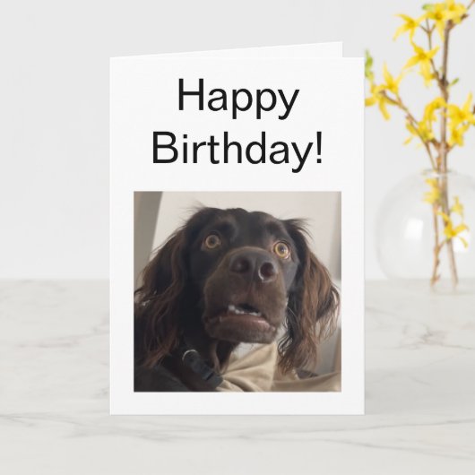 Gevouwen Kaart Verwarde Dog Meme (Gele Bloem)