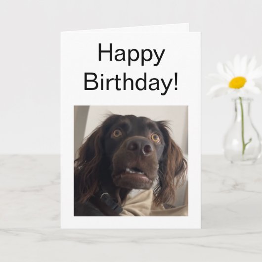 Gevouwen Kaart Verwarde Dog Meme (Kleine Plant)