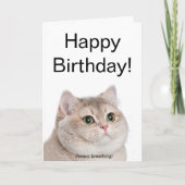 Gevouwen Kaart Zware ademhaling Cat meme (Voorkant)