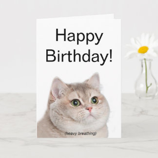 Gevouwen Kaart Zware ademhaling Cat meme