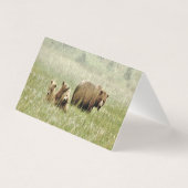 Gevouwen lege notitiekaart van grizzly beer & welp kaart (Achterkant)