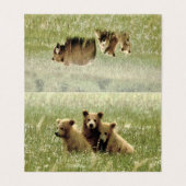 Gevouwen lege notitiekaart van grizzly beer & welp kaart (Buitenkant ongevouwen)