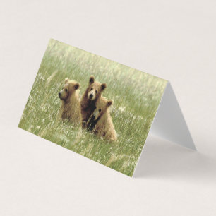 Gevouwen lege notitiekaart van grizzly beer & welp kaart