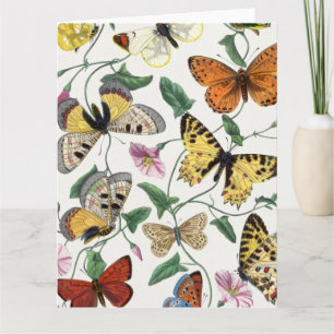 Gevouwen Vintage Kaart van Butterfly