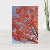 Gevouwen Wenskaart Kaart (Achterkant)