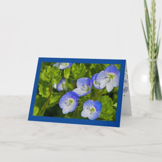 Gevouwen Wenskaart Kaart (Voorkant)