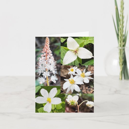 Gevouwen wenskaart met collage van wilde bloemen kaart (Voorkant)