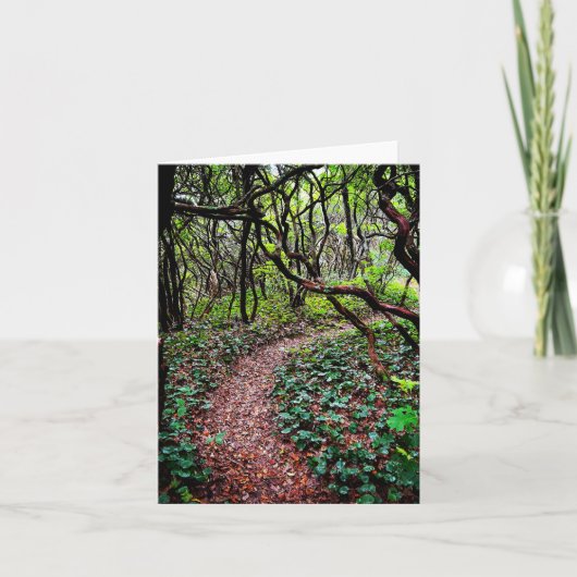 Gevouwen wenskaart met openluchtscène kaart (Voorkant)