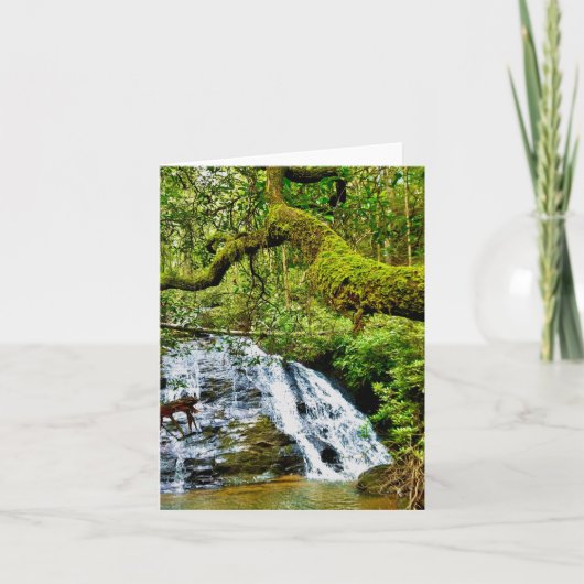 Gevouwen wenskaart met waterval kaart (Voorkant)