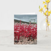 Gevouwen wenskaart met wildbloemfoto. kaart (Gele Bloem)