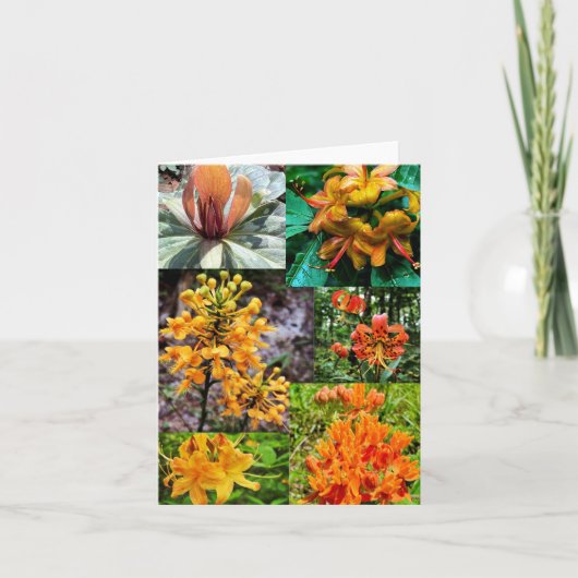 Gevouwen wenskaart met wildbloemkollage kaart (Voorkant)