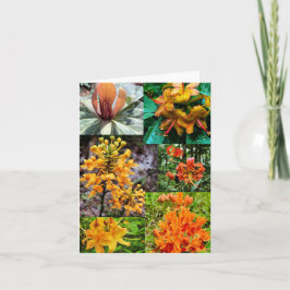 Gevouwen wenskaart met wildbloemkollage kaart