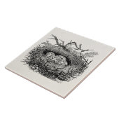 gevreesde vogelvogels Vogelnestvogels speciaal ge Tegeltje (Zijkant)