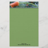 Gevroren Oranje California Klaproos Persoonlijk Briefpapier (Voorkant)